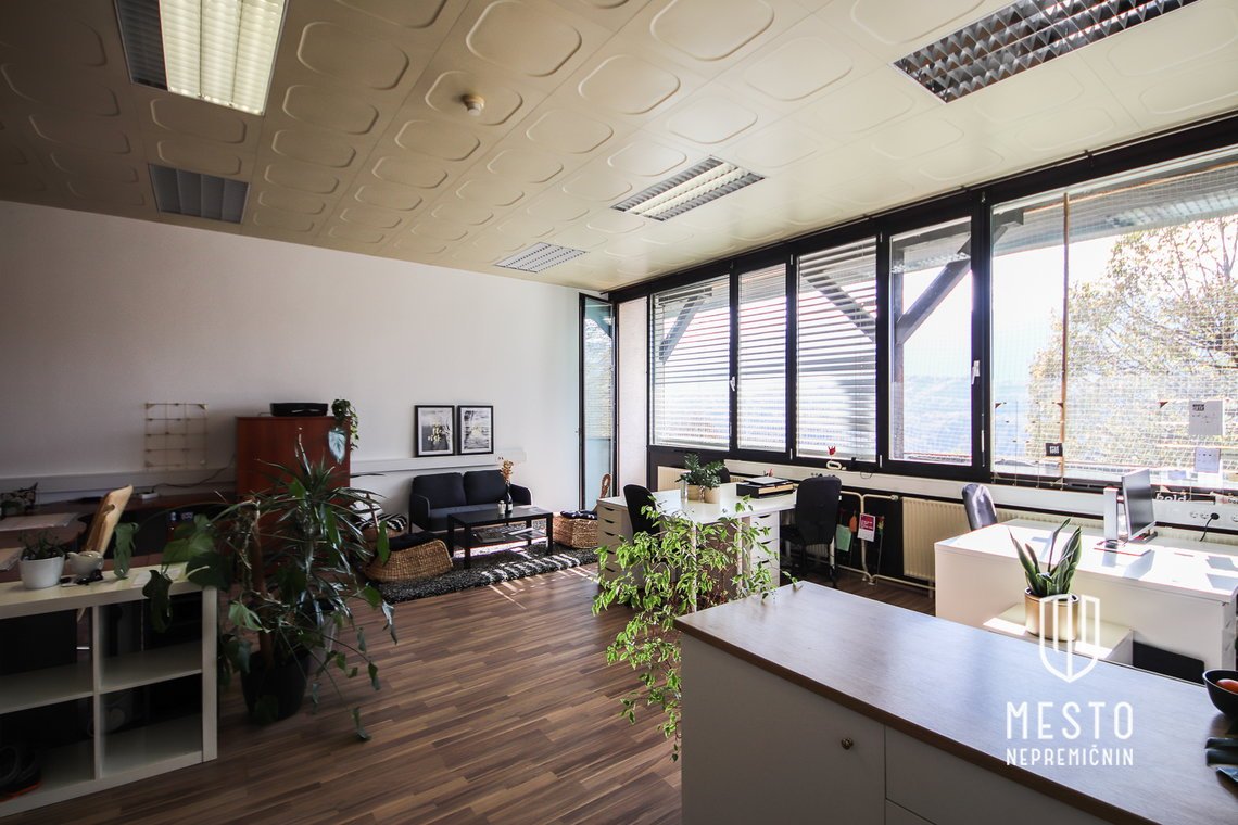 Prosta miza v Coworkingu v Radovljici – 14