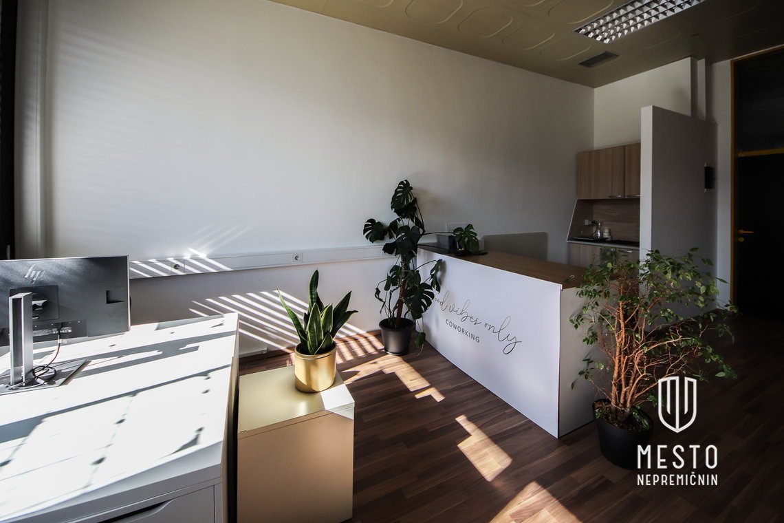Prosta miza v Coworkingu v Radovljici – 15