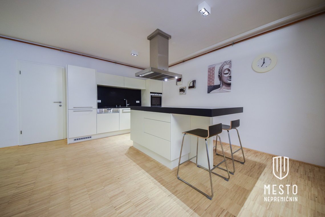 Three-bedroom apartment at Mestni trg, with a view of Ljubljana Castle – 4
