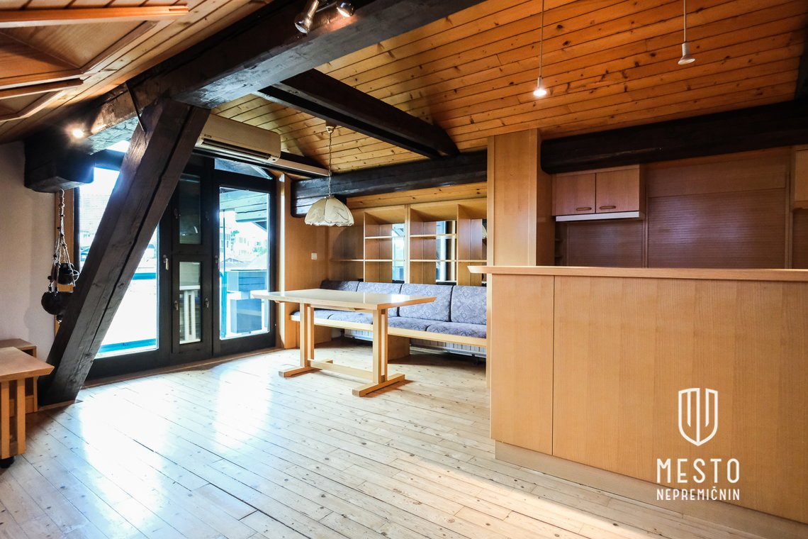 Spacious detached house in Stožice – 15